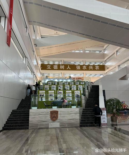 现代大学教育如何培养创新人才？-图2