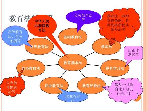 教育法规定的高等教育由谁实施？-图3