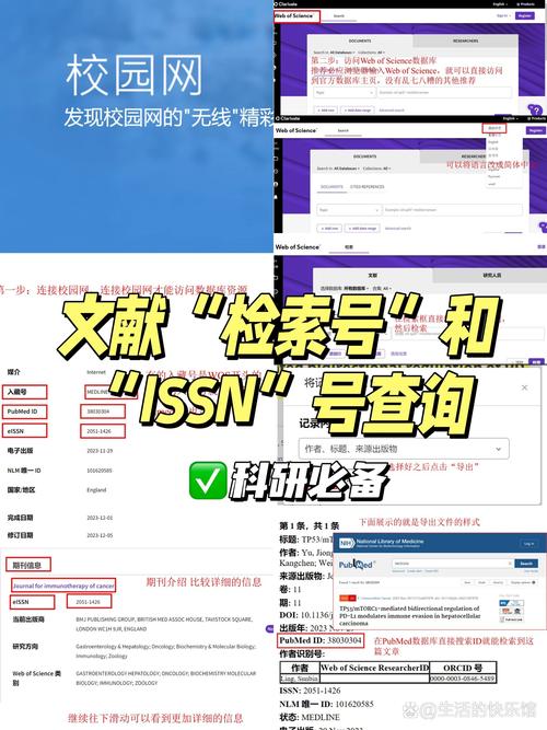 知网查重查识别参考文献-图1
