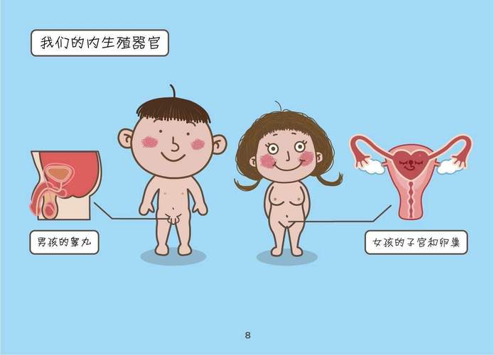 从性教育到幼儿健康教育-图1 从性教育到幼儿健康教育-图1