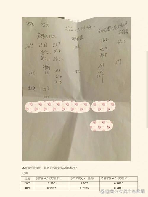 物理化学实验的参考文献-图3