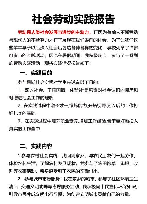 大学生社会实践参考文献有哪些实用类型？-图2