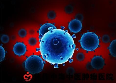 孕妇抽烟属于队列研究吗-图3