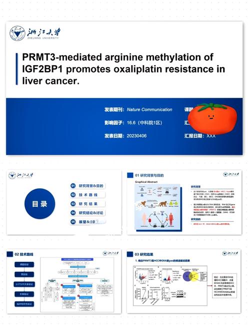 论文研究背景该在正文何处设置?-图2 论文研究背景该在正文何处设置?-图2