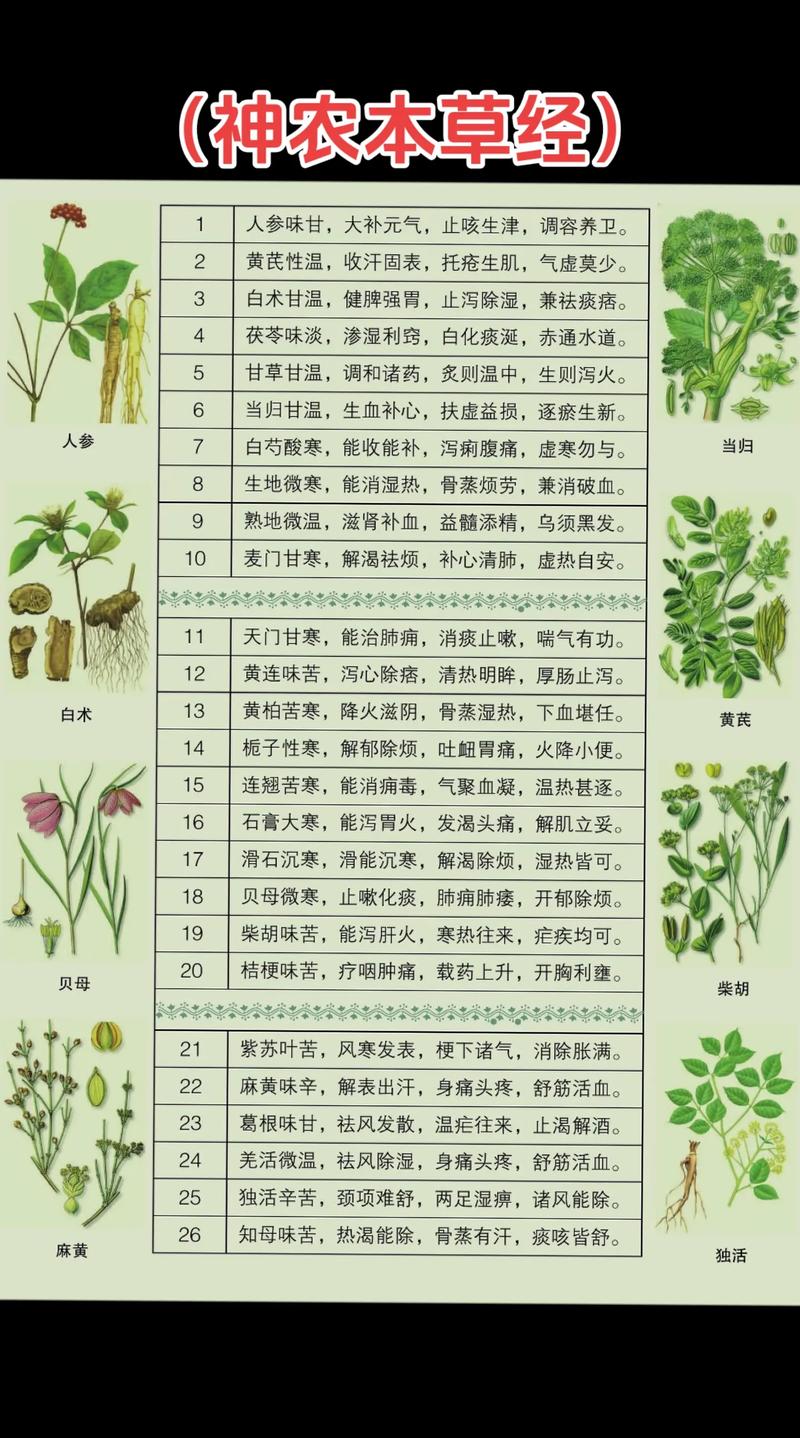 最新中草药百科参考文献汇编，传统智慧与现代科研融合的权威指南-图1