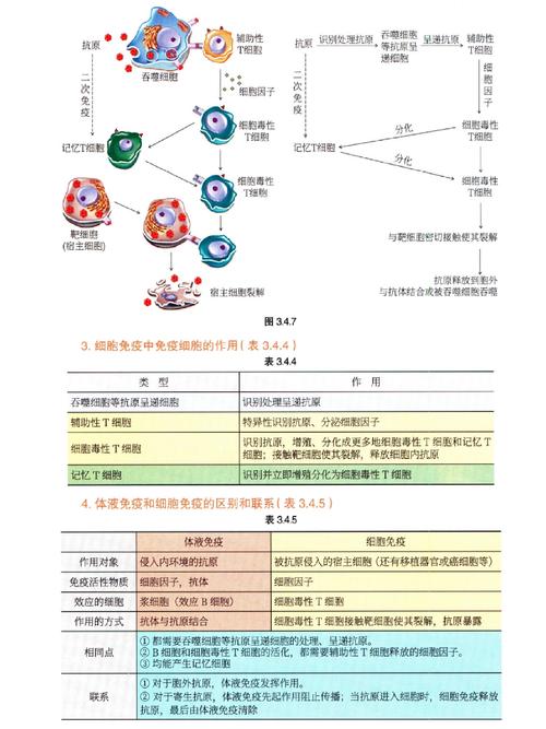 细胞与分子免疫研究前沿,从机制探索到临床转化的热点聚焦与未来展望-图3 细胞与分子免疫研究前沿,从机制探索到临床转化的热点聚焦与未来展望-图3