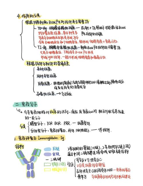 细胞与分子免疫研究前沿,从机制探索到临床转化的热点聚焦与未来展望-图2 细胞与分子免疫研究前沿,从机制探索到临床转化的热点聚焦与未来展望-图2