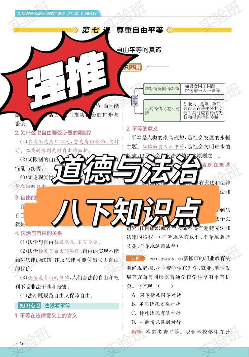 法律的平等价值，理论内涵、实践挑战与参考文献研究-图1