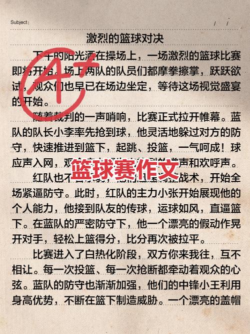 篮球场地建设标准与技术研究文献综述-图2