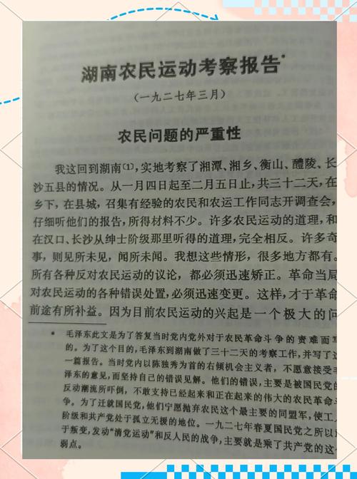 农民工农村问题研究，城乡融合背景下的权益保障与可持续发展路径探析-图3