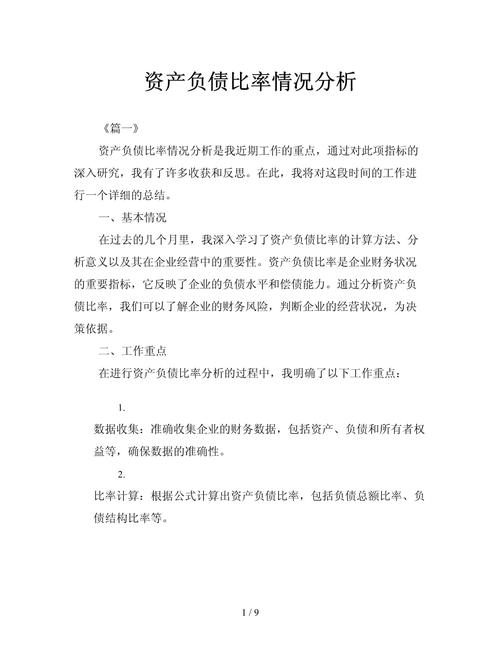 负债融资的案例研究论文-图1 负债融资的案例研究论文-图1