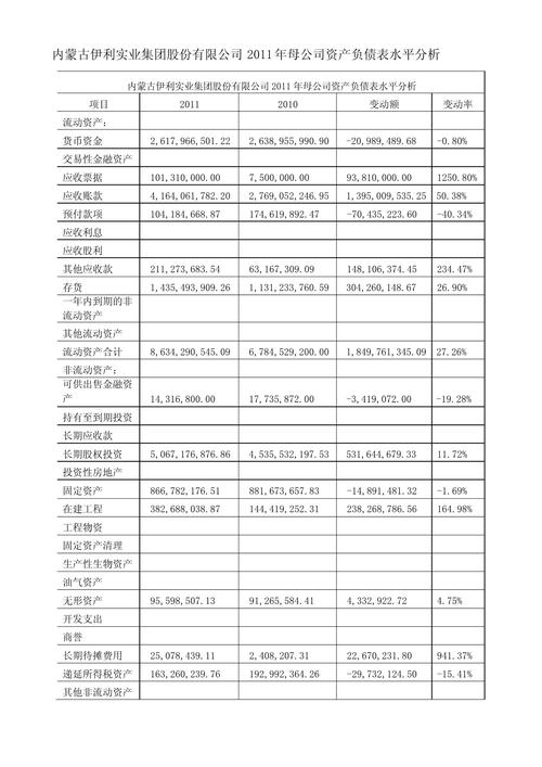 负债融资的案例研究论文-图2