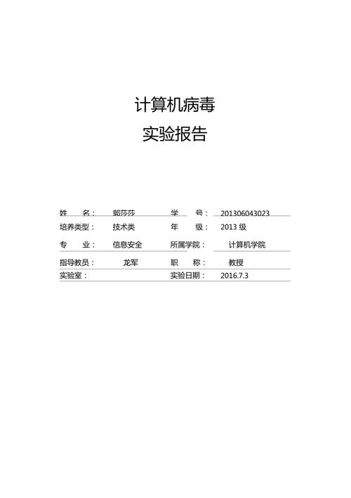 计算机病毒参考文献有哪些核心类型？-图3