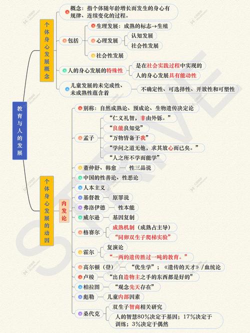 教育如何塑造人的发展?-图1 教育如何塑造人的发展?-图1