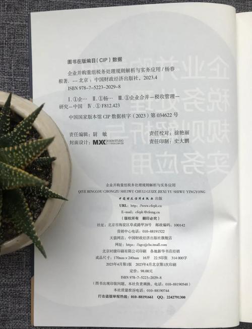 企业并购税收问题有哪些关键点需关注?-图2 企业并购税收问题有哪些关键点需关注?-图2