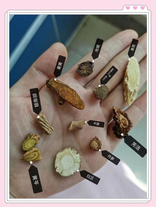 中药鉴定近十年研究有何新进展？-图2