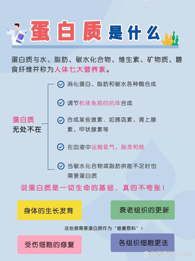 蛋白质与健康有何关联?-图2 蛋白质与健康有何关联?-图2