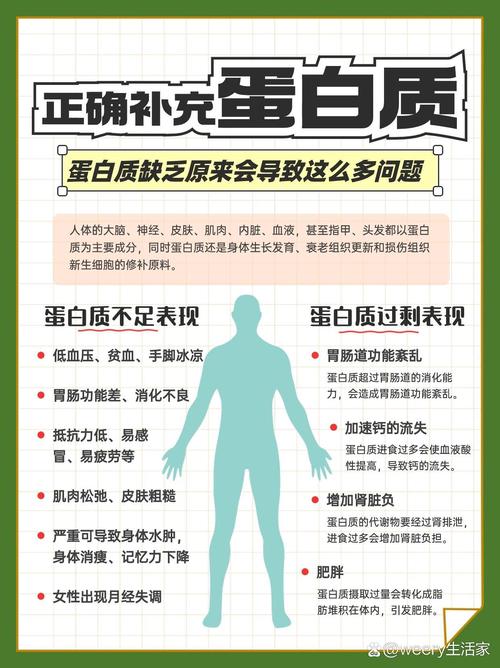 蛋白质与健康有何关联?-图3 蛋白质与健康有何关联?-图3