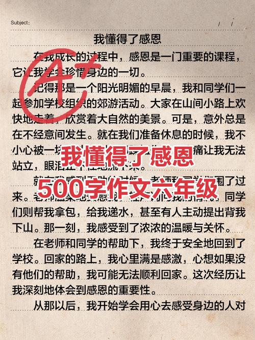 感恩教育观后感,何为真正的感恩教育?-图2 感恩教育观后感,何为真正的感恩教育?-图2