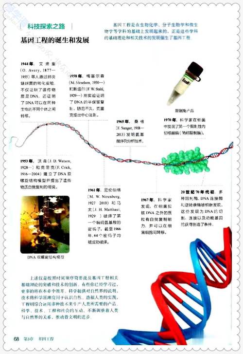 基因工程发展史有哪些关键参考文献?-图1 基因工程发展史有哪些关键参考文献?-图1