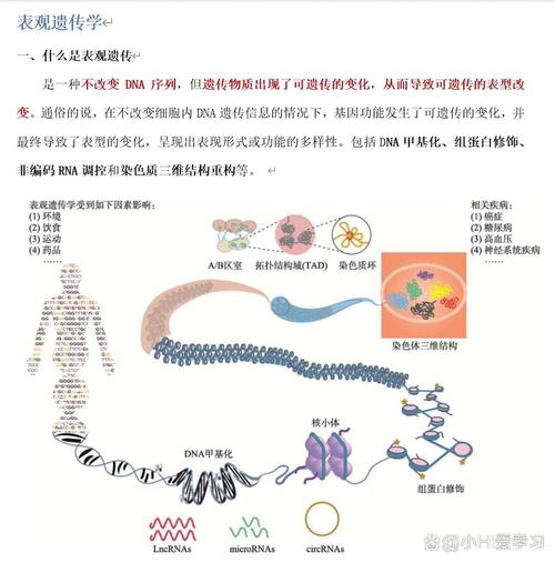 人类遗传性状有哪些关键参考文献？-图2