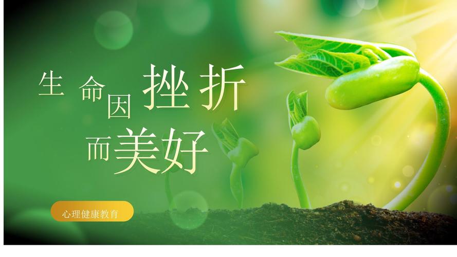 挫折教育班会PPT,如何引导孩子正确面对挫折?-图2 挫折教育班会PPT,如何引导孩子正确面对挫折?-图2