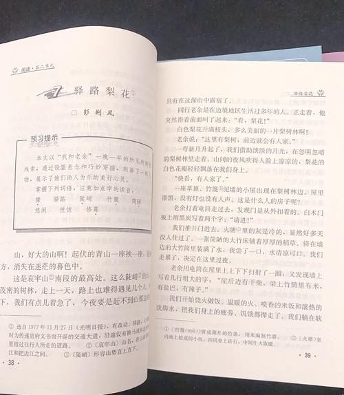 初中语文新教材参考文献有哪些？-图2