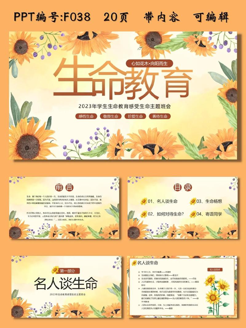 生命教育如何从认识走向实践？-图1