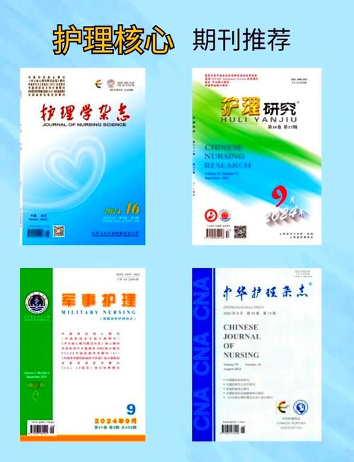 中国护理实践与研究有何实践与研究价值?-图1 中国护理实践与研究有何实践与研究价值?-图1