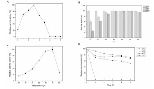 近5年图像处理参考文献有哪些新进展？-图2