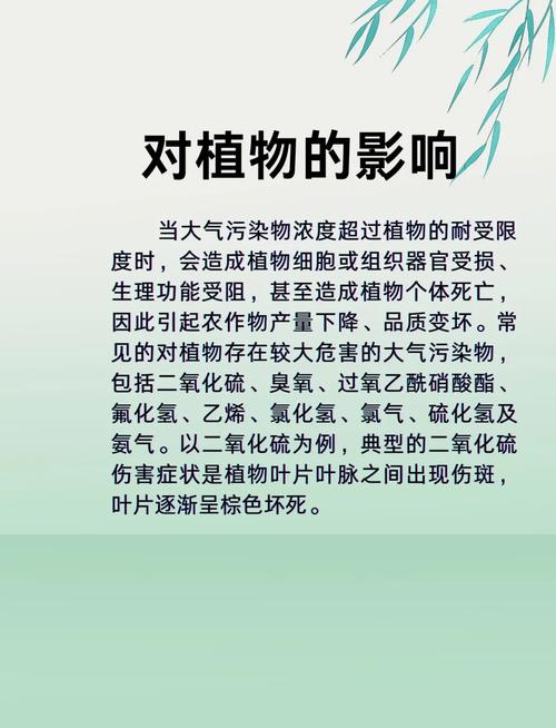 大气污染如何影响健康？-图2