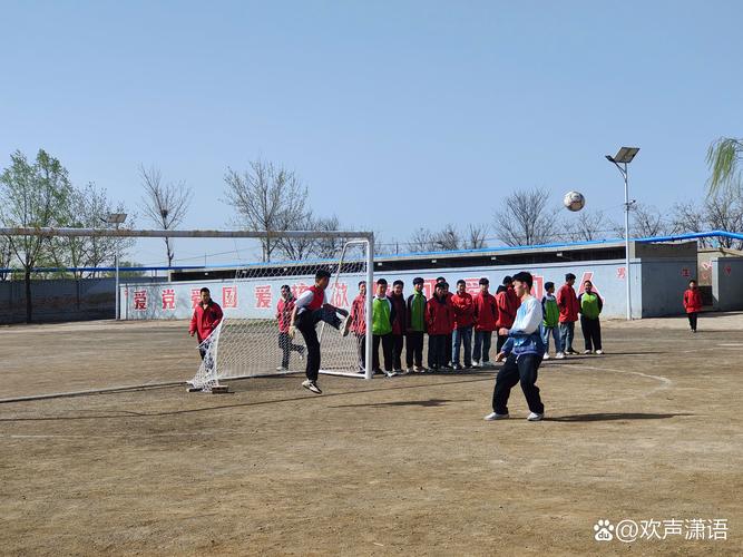 农村学校体育教育现状如何？-图3