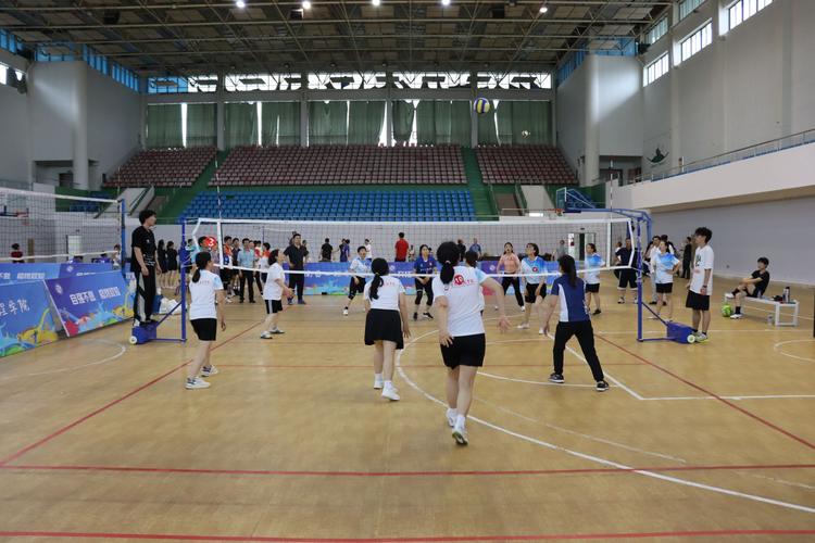 我校排球现状如何？研究聚焦哪些问题？-图1