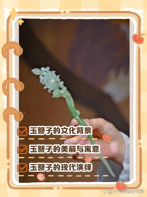 红楼梦配饰文化有何独特内涵?-图1 红楼梦配饰文化有何独特内涵?-图1