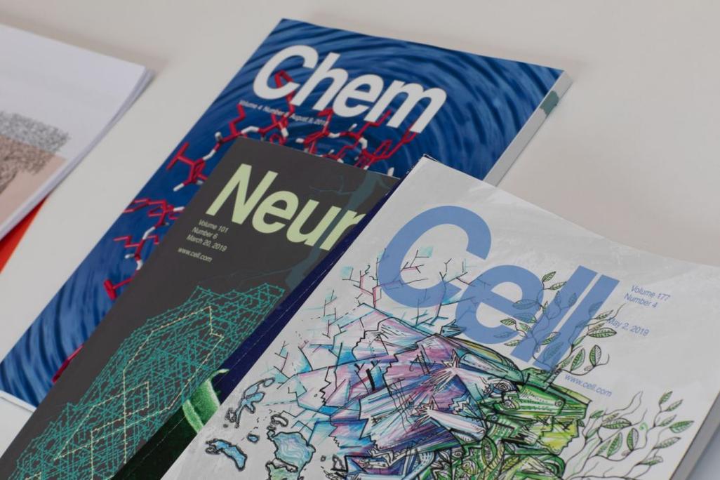 行动研究论文如何发表于学术杂志？-图1