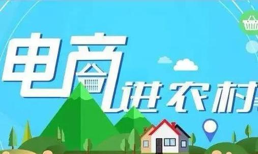 农村电商平台参考文献有哪些？-图3