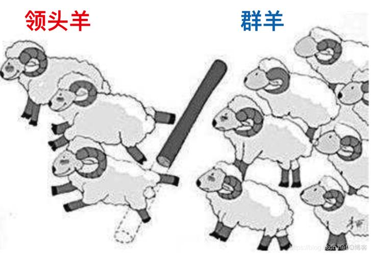 羊群效应研究如何突破传统框架?-图3 羊群效应研究如何突破传统框架?-图3