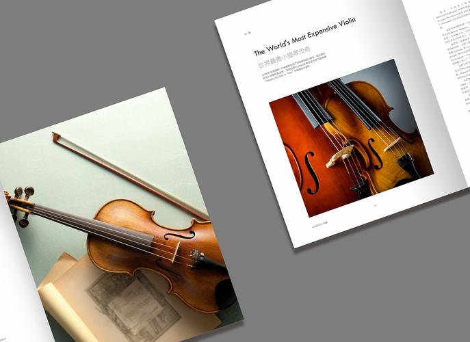 音乐研究杂志1500字的核心议题是什么?-图3 音乐研究杂志1500字的核心议题是什么?-图3