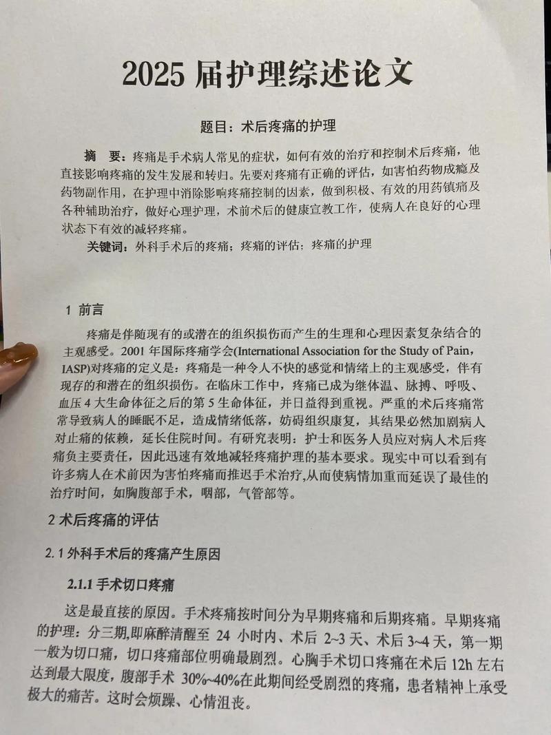 护理研究综述4000字的核心议题与关键发现是什么？-图3