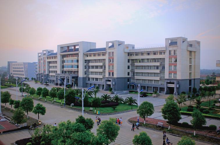 广西教育如何塑造本土文化传承与创新？-图3