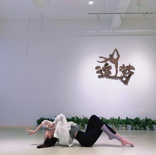 现代舞地面动作参考文献有哪些？-图2