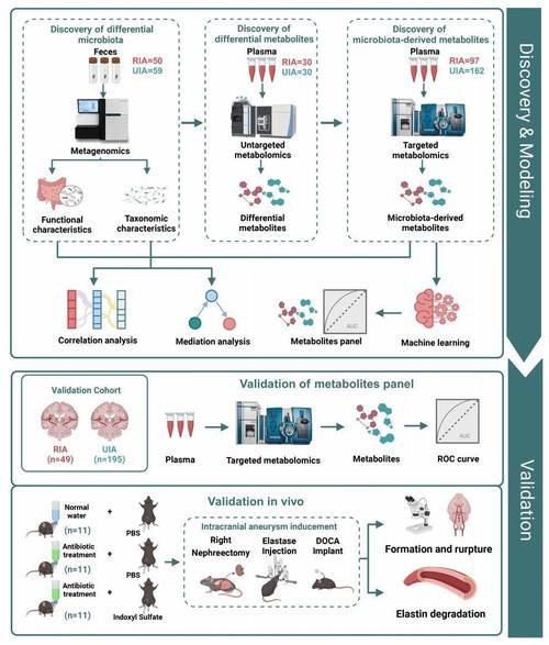 队列研究能同时研究一种疾病吗？-图3