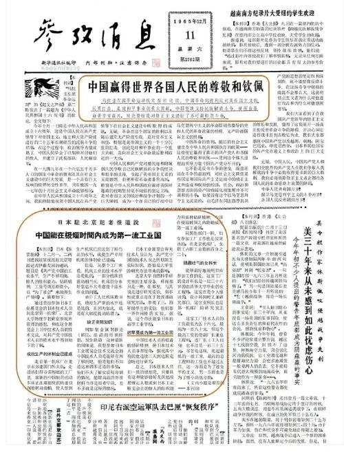 近几年参考文献去哪里查？-图3