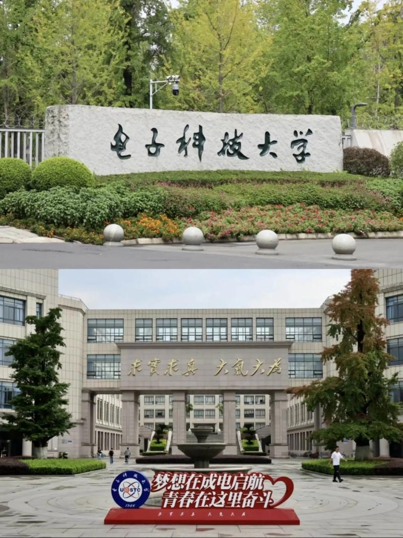 电子科技大学研究生学报研究什么？-图2