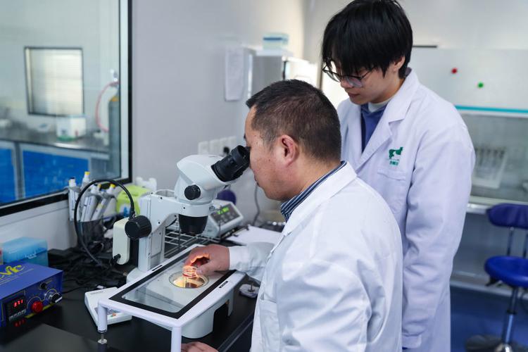 实验室研究与探索编辑部-图2