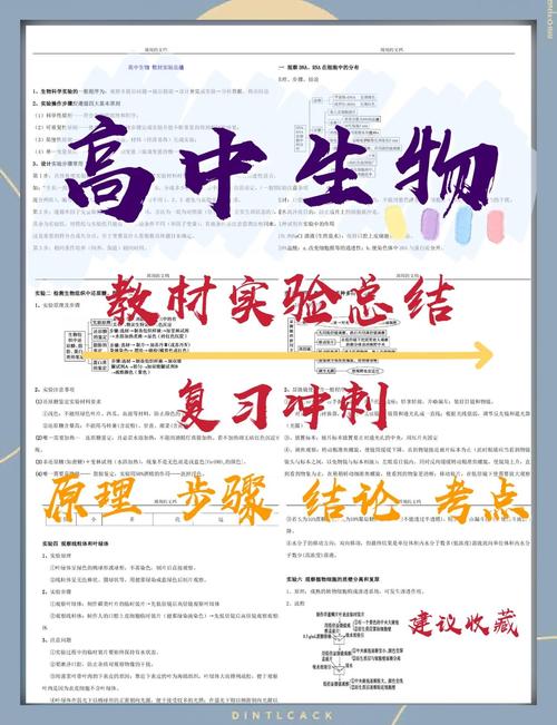 高中生物研究性学习报告-图3