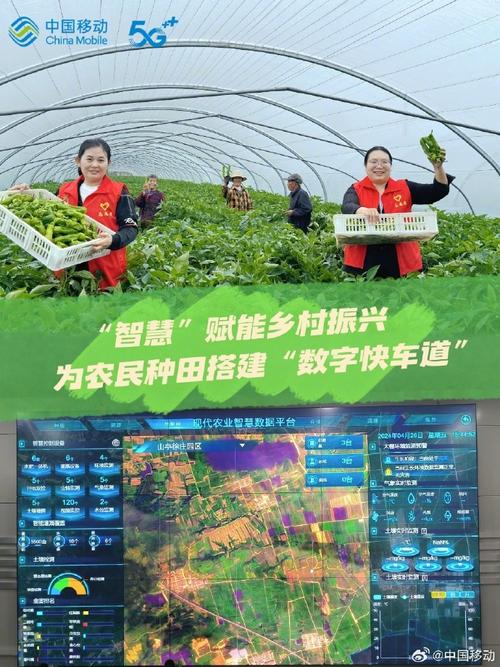 新媒体平台如何赋能农民教育？-图2