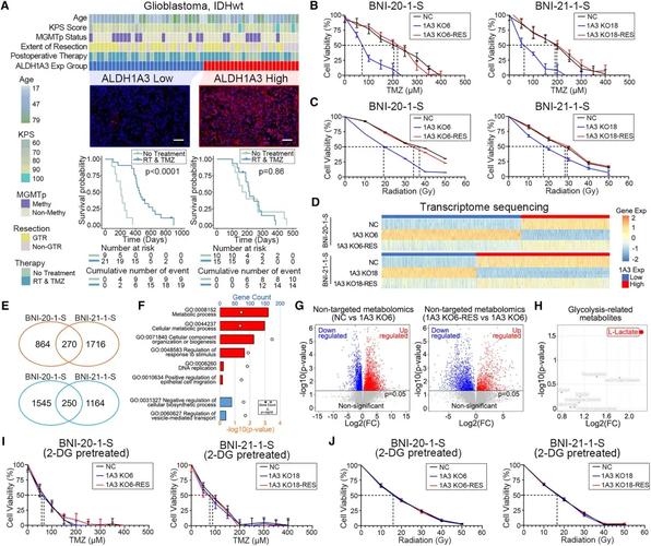 肿瘤的耐药机制研究进展-图3