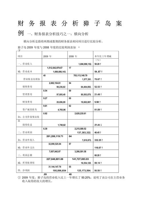 财务报表分论文参考文献-图2