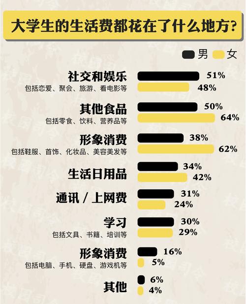 大学生网络消费行为研究-图2